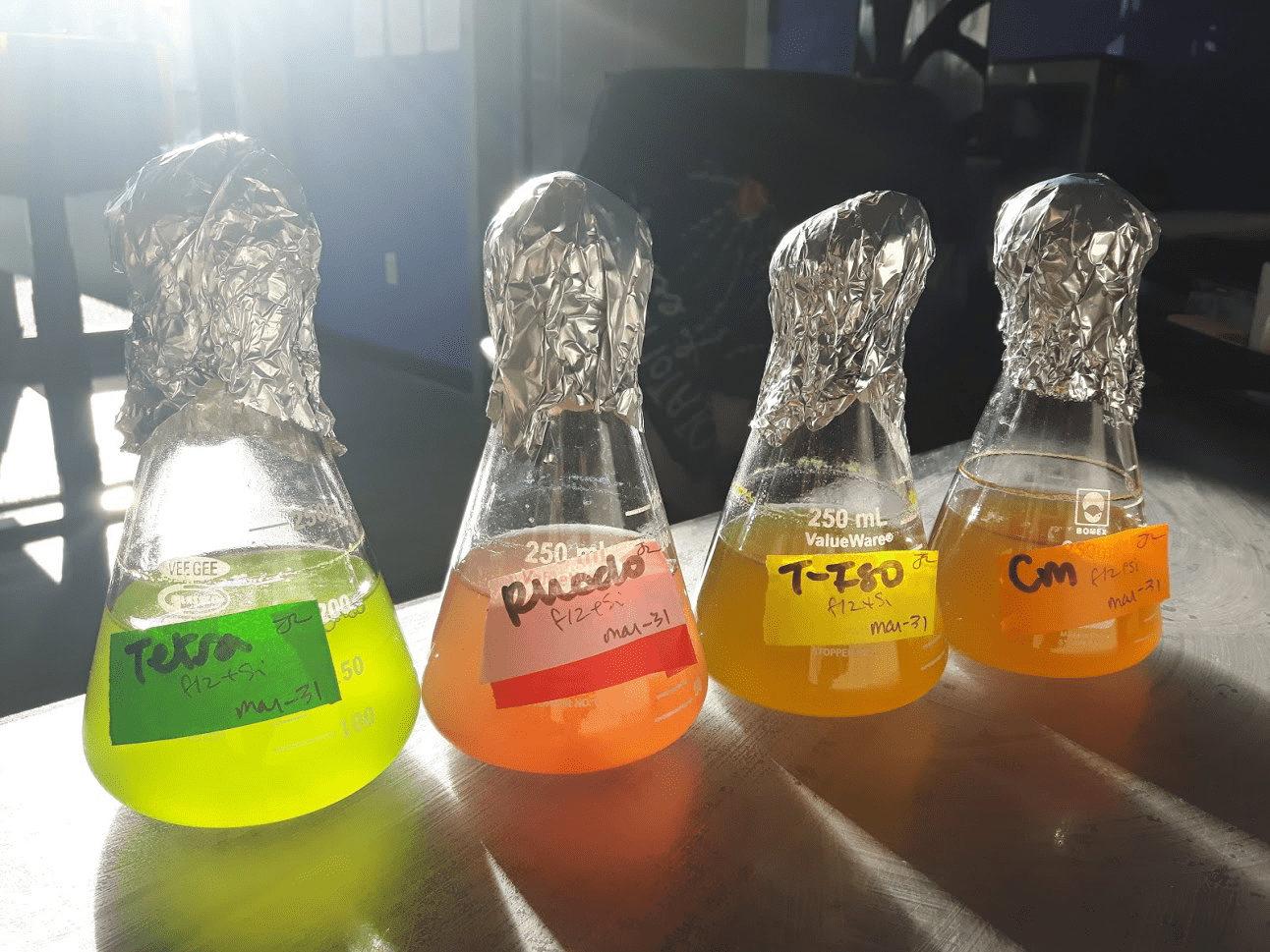 Photosynthetic Efficiency: Algae's Response to Artificial Light Spectra