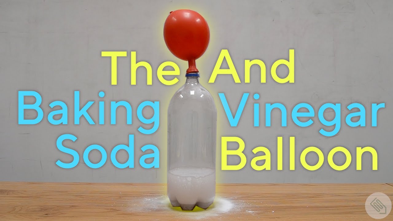 Baking Soda and Vinegar Balloon Inflation Experiment