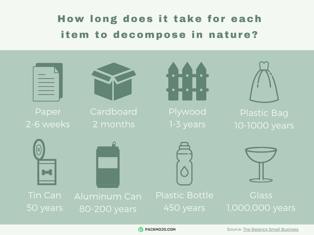 Biodegradable vs Plastic Decomposition Rates Science Project