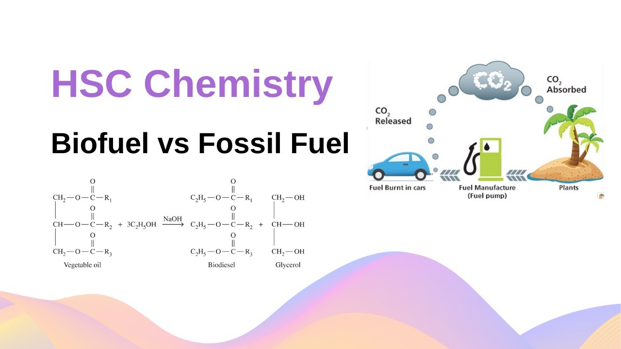 Biofuels Science Fair Project: Fuel Efficiency Comparison