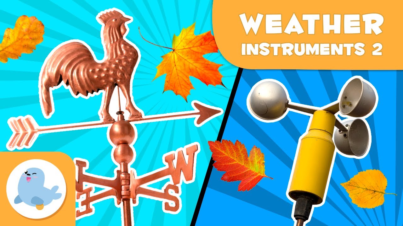 Building a Working Weather Vane and Anemometer Science Project