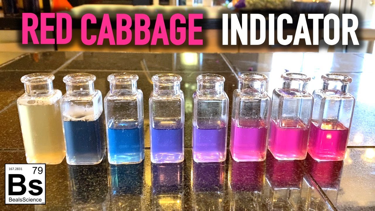 Cabbage Chemistry: Exploring pH with Natural Indicators