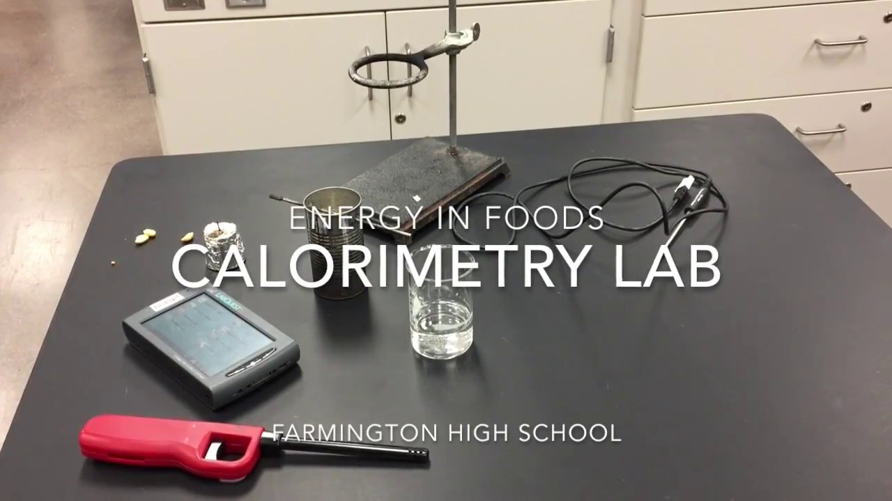 Calorimetry: Measuring Energy Content of Different Foods - Science Project