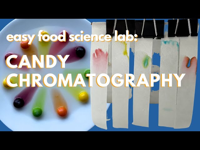 Candy Chromatography: Separating Dye Colors - Science Fair Project