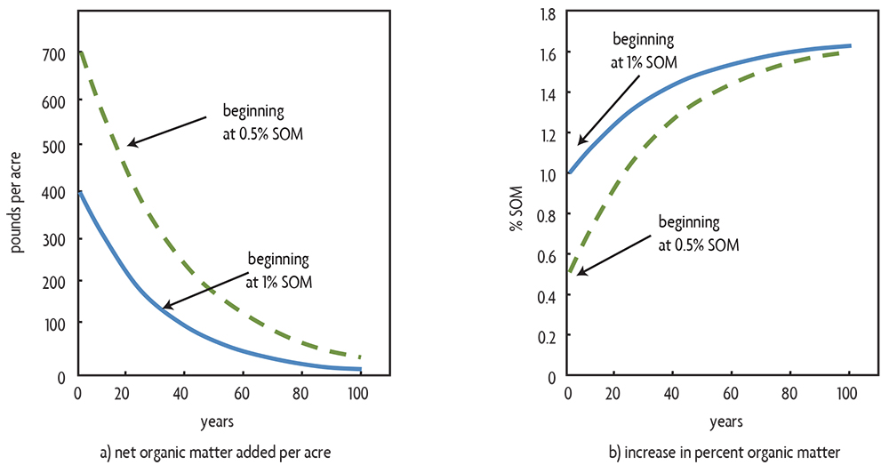 Investigating the Impact of Soil Composition on Carbon Sequestration