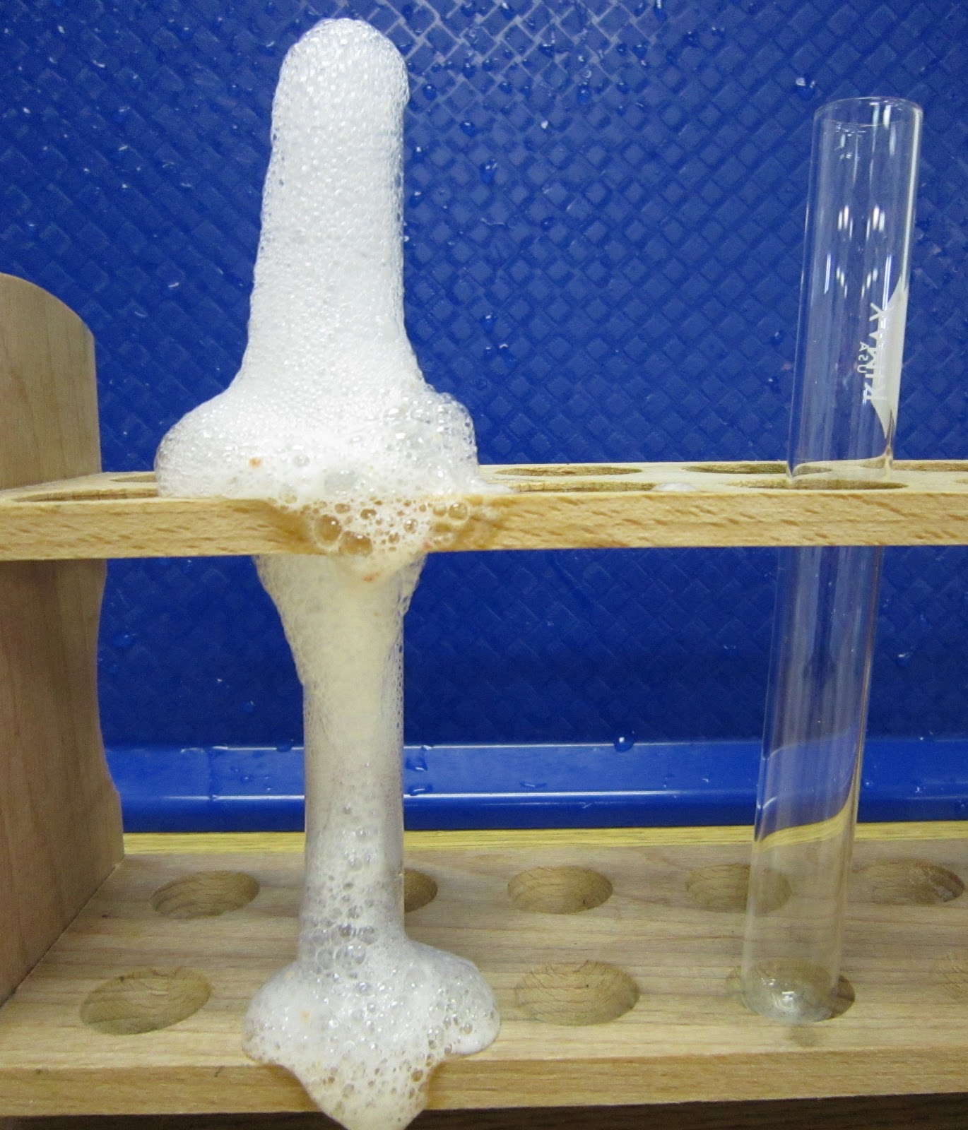 Catalyst Conundrum: Unleashing the Power of Enzymatic Reactions