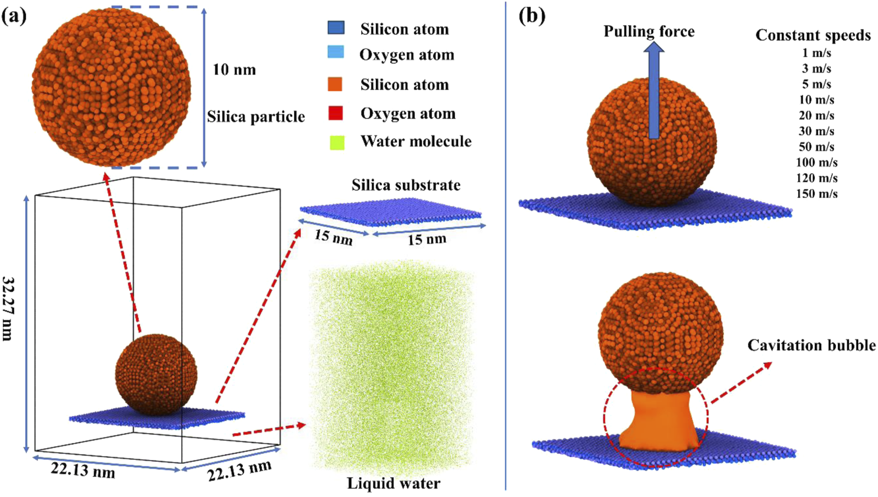 Cavitation Chaos: Investigating Bubble Dynamics