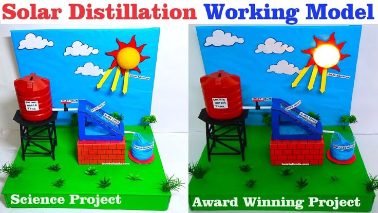 Create a Solar Still for Water Purification Science Project