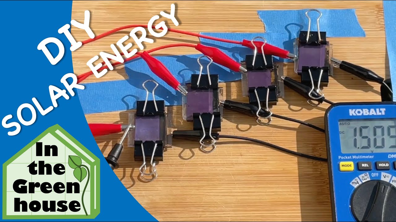 Mimicking Photosynthesis: DIY Solar Cells