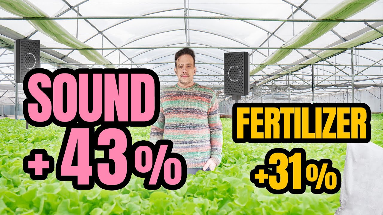 Do Plants Grow Better with Music or Silence