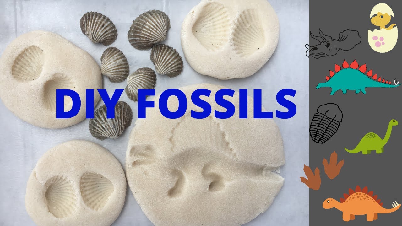 Create Your Own Fossils: A Fun Science Fair Project