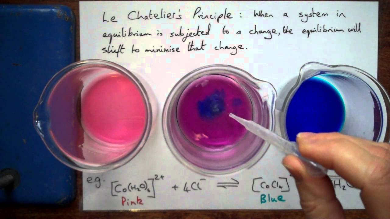 Le Chatelier's Principle Demonstration Science Project