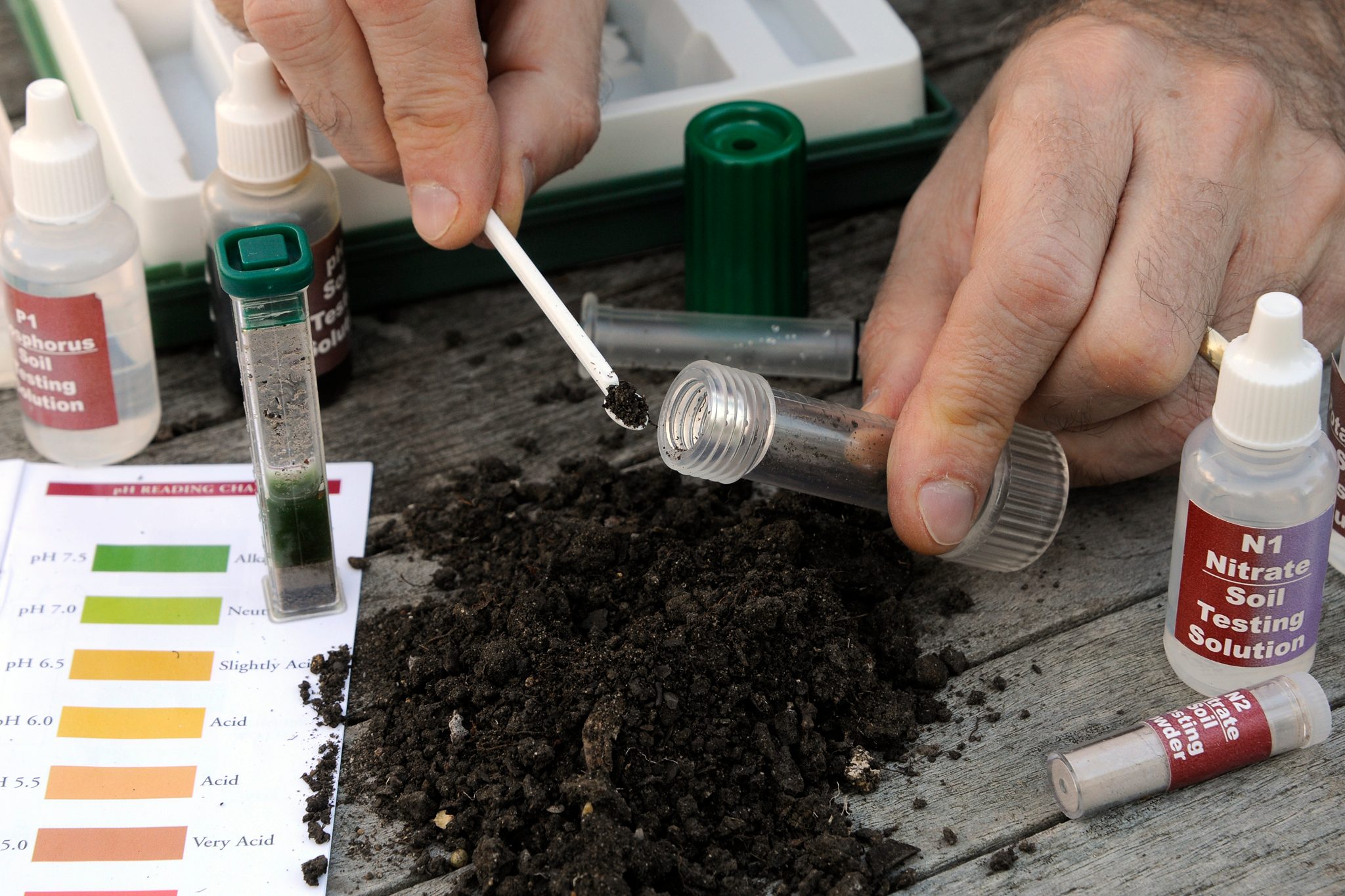 Measuring Soil pH and Its Effect on Plant Communities Science Project