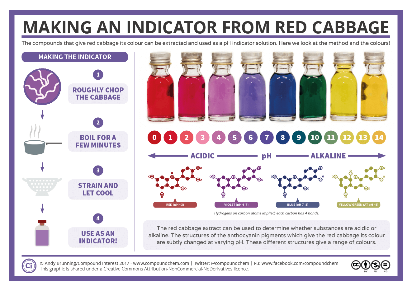 Natural pH Indicators from Plants Science Project
