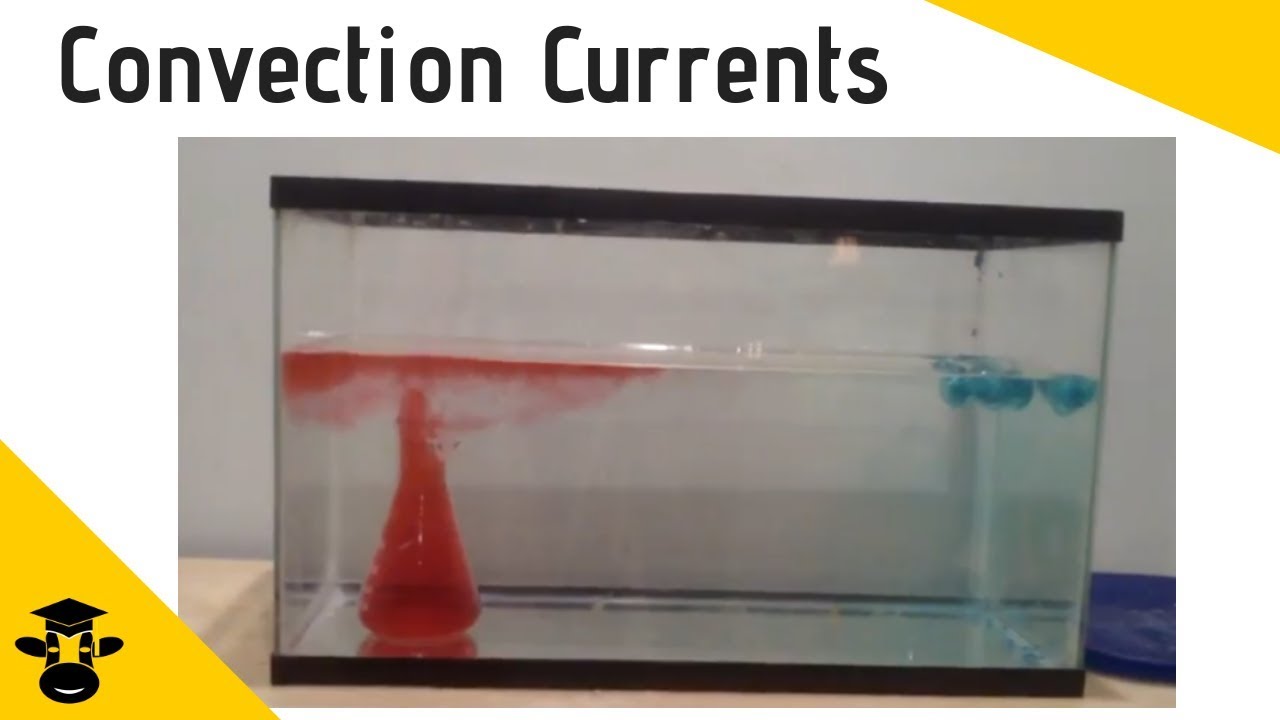 Ocean Currents Experiment with Colored Water