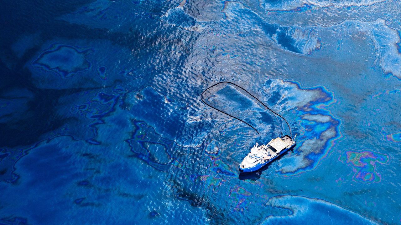 Effect of Oil Spills on Water and Marine Life Simulation Science Project