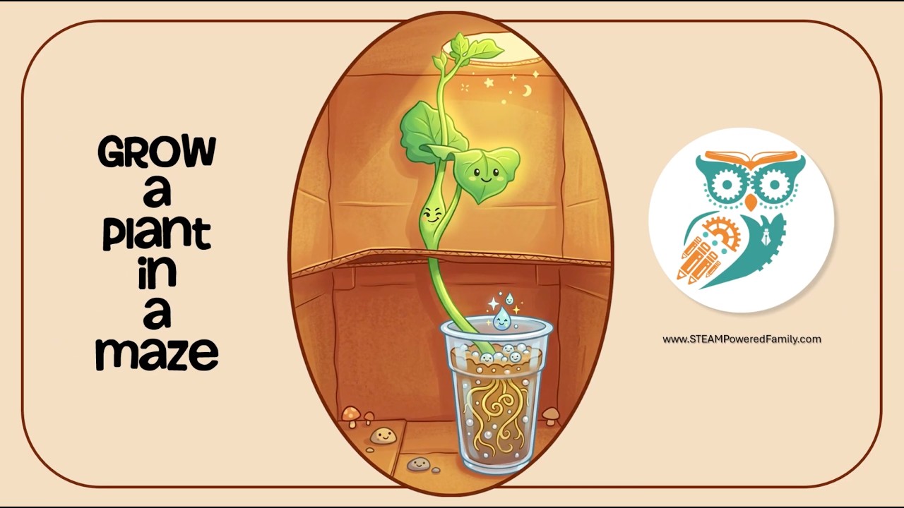 Leafy Labyrinth: Plant Maze Challenge