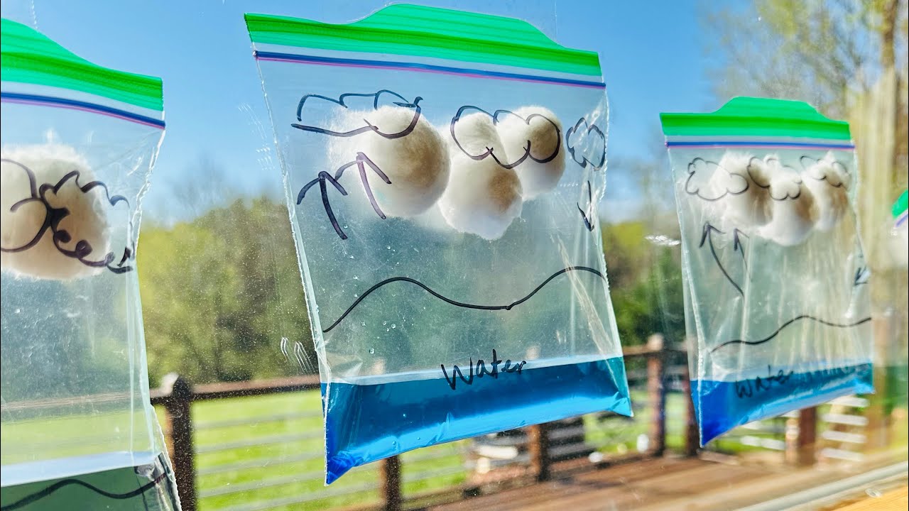 Simple Water Cycle Model in a Bag