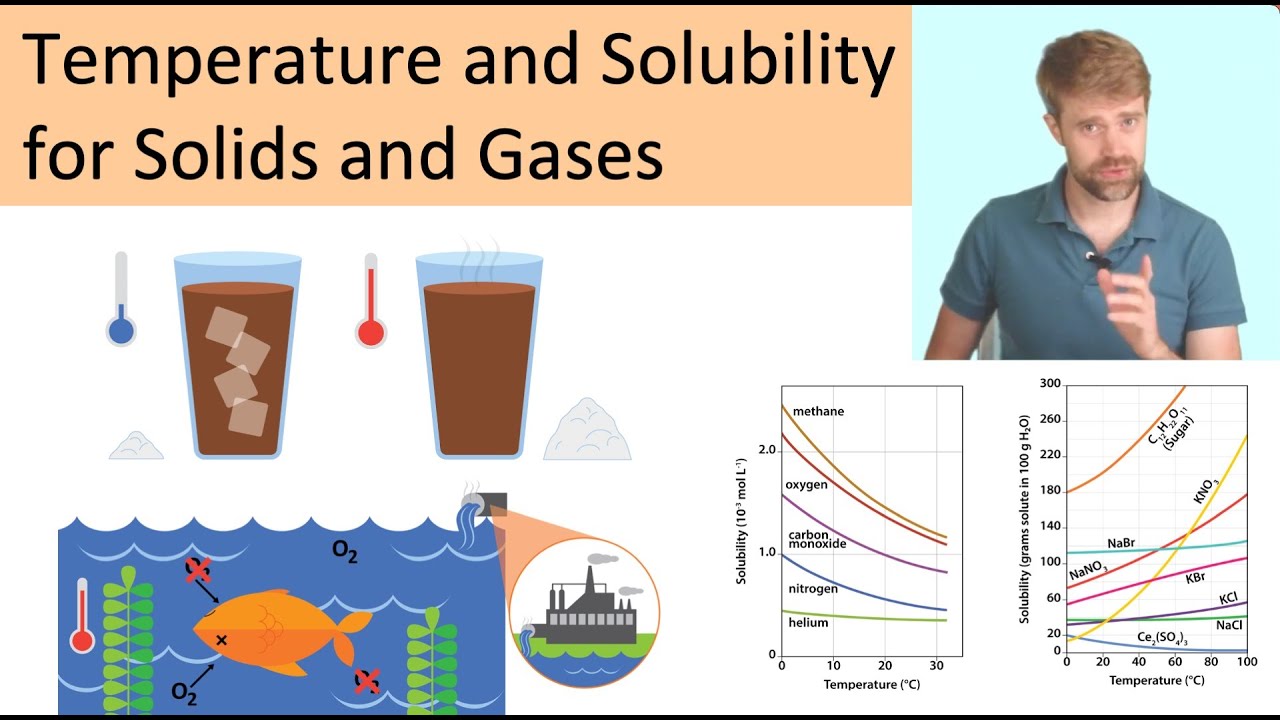 Temperature and Solubility Science Project