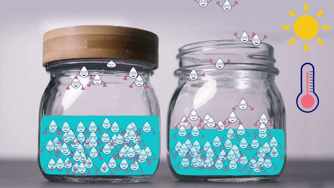 How Temperature Affects Evaporation Rate: Science Experiment