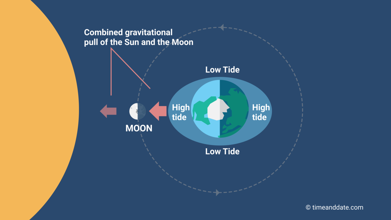 Tidal Patterns and Moon Phases Relationship Science Project