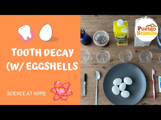 Tooth Enamel Decay: Effects of Different Liquids Science Fair Project