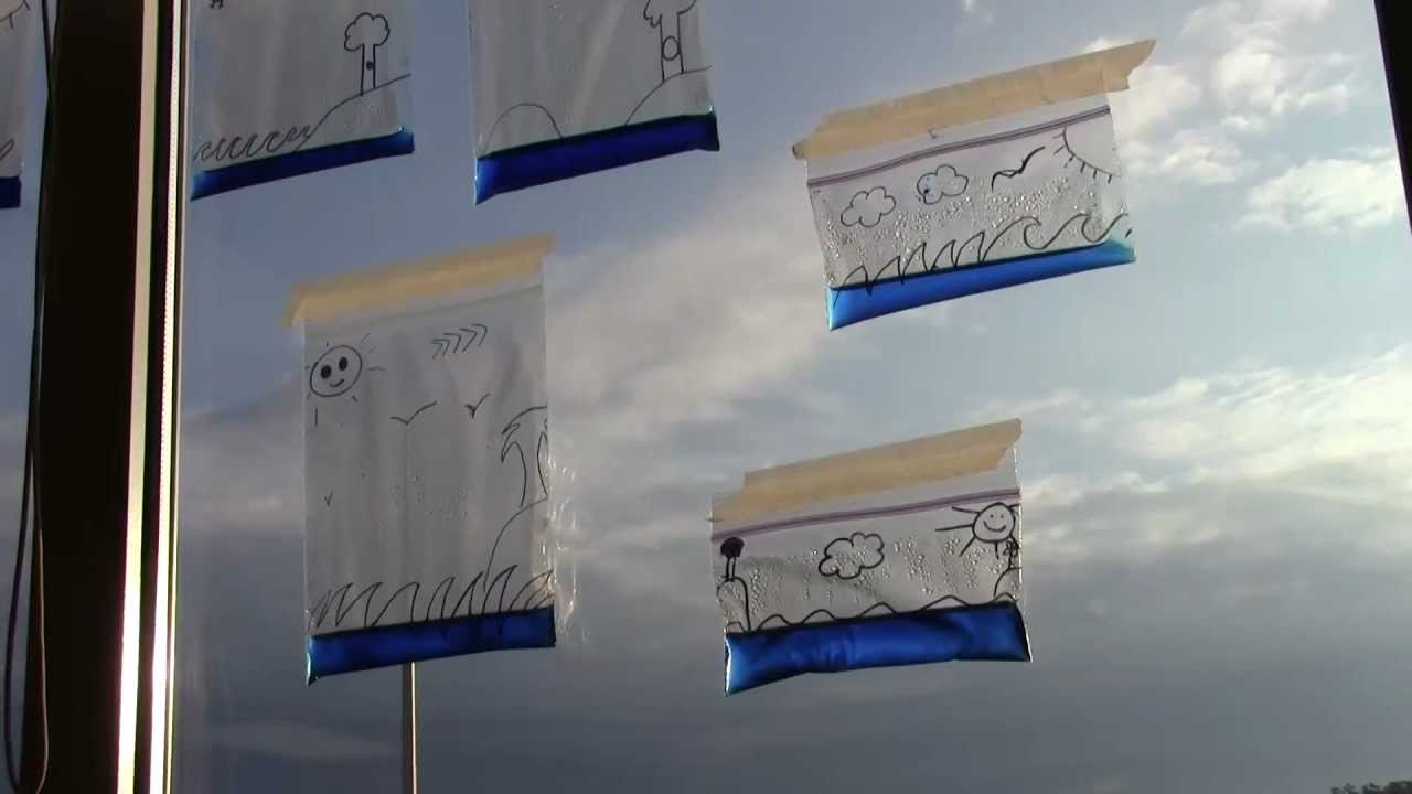 Water Cycle in a Bag: Hands-On Science Project